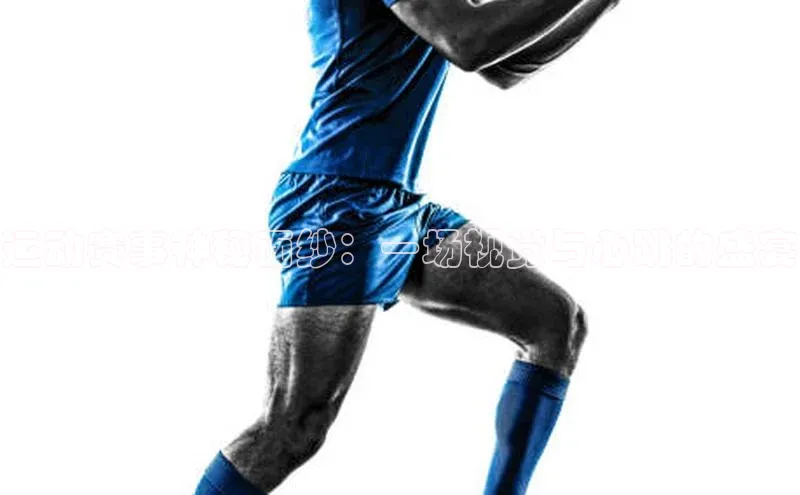 威廉希尔体育官网入口