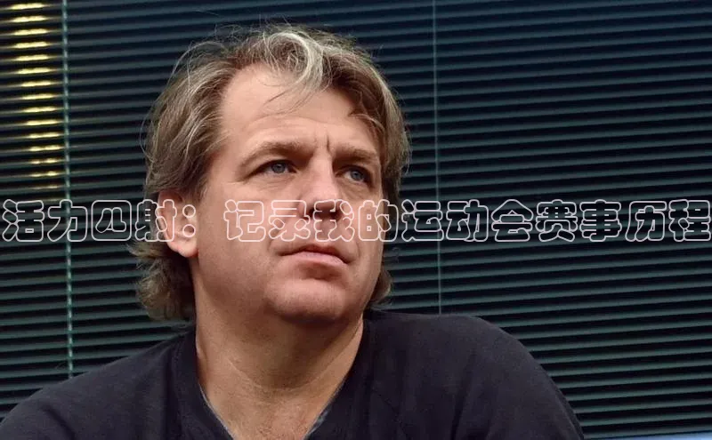 活力四射：记录我的运动会赛事历程